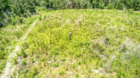 Tiny photo for 3765 Glory Road, Quincy, FL 32352 (MLS # 402042)