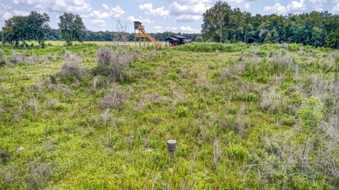 Tiny photo for 3765 Glory Road, Quincy, FL 32352 (MLS # 402042)
