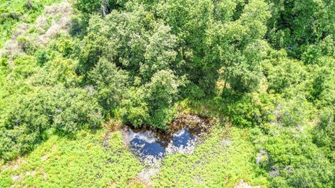 Tiny photo for 3765 Glory Road, Quincy, FL 32352 (MLS # 402042)