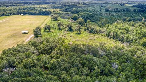 Tiny photo for 3765 Glory Road, Quincy, FL 32352 (MLS # 402042)