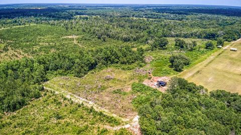 Tiny photo for 3765 Glory Road, Quincy, FL 32352 (MLS # 402042)