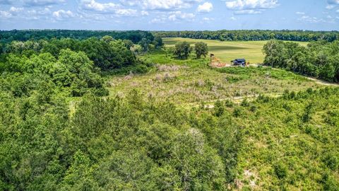Tiny photo for 3765 Glory Road, Quincy, FL 32352 (MLS # 402042)