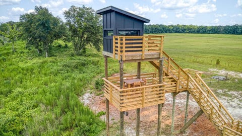 Tiny photo for 3765 Glory Road, Quincy, FL 32352 (MLS # 402042)