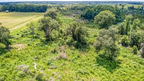 Tiny photo for 3765 Glory Road, Quincy, FL 32352 (MLS # 402042)