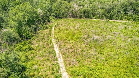 Tiny photo for 3765 Glory Road, Quincy, FL 32352 (MLS # 402042)