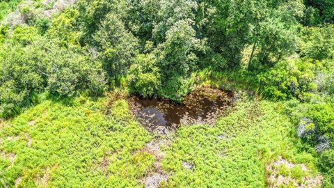 Tiny photo for 3765 Glory Road, Quincy, FL 32352 (MLS # 402042)