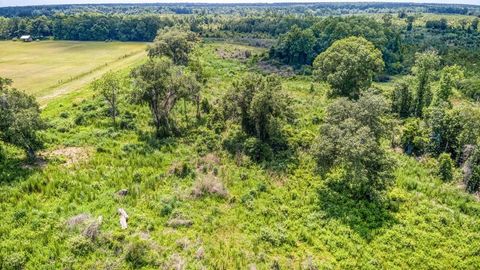Tiny photo for 3765 Glory Road, Quincy, FL 32352 (MLS # 402042)