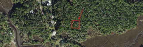 Photo of 9 Judy Street, Crawfordville, FL 32327 (MLS # 399407)