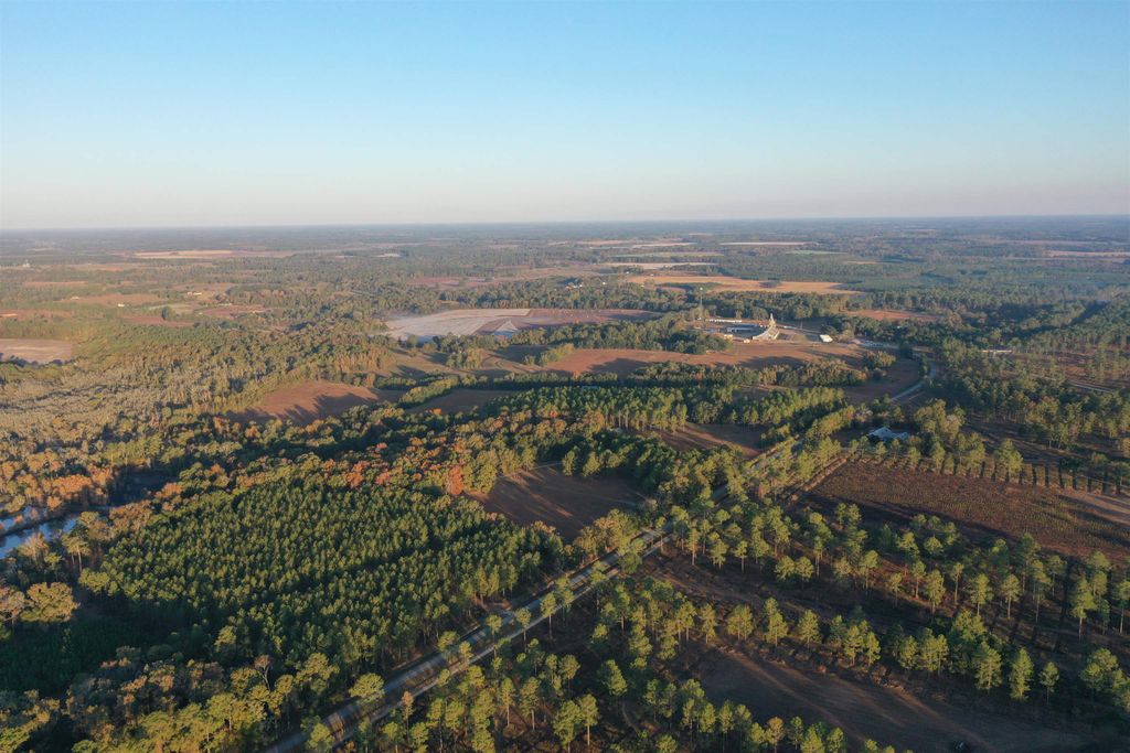 Photo of 9283 Tallokas Road, Other Georgia, GA 31778 (MLS # 393553)