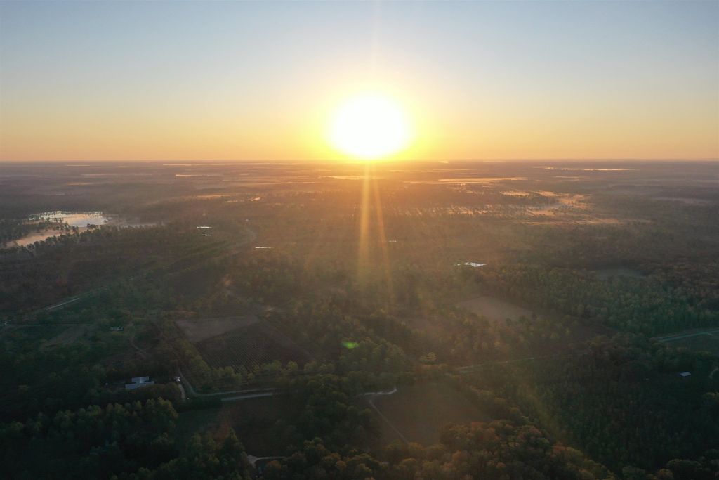 Photo of 9283 Tallokas Road, Other Georgia, GA 31778 (MLS # 393553)