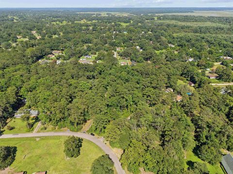 Tiny photo for 0 Calico Circle, Tallahassee, FL 32303 (MLS # 402041)