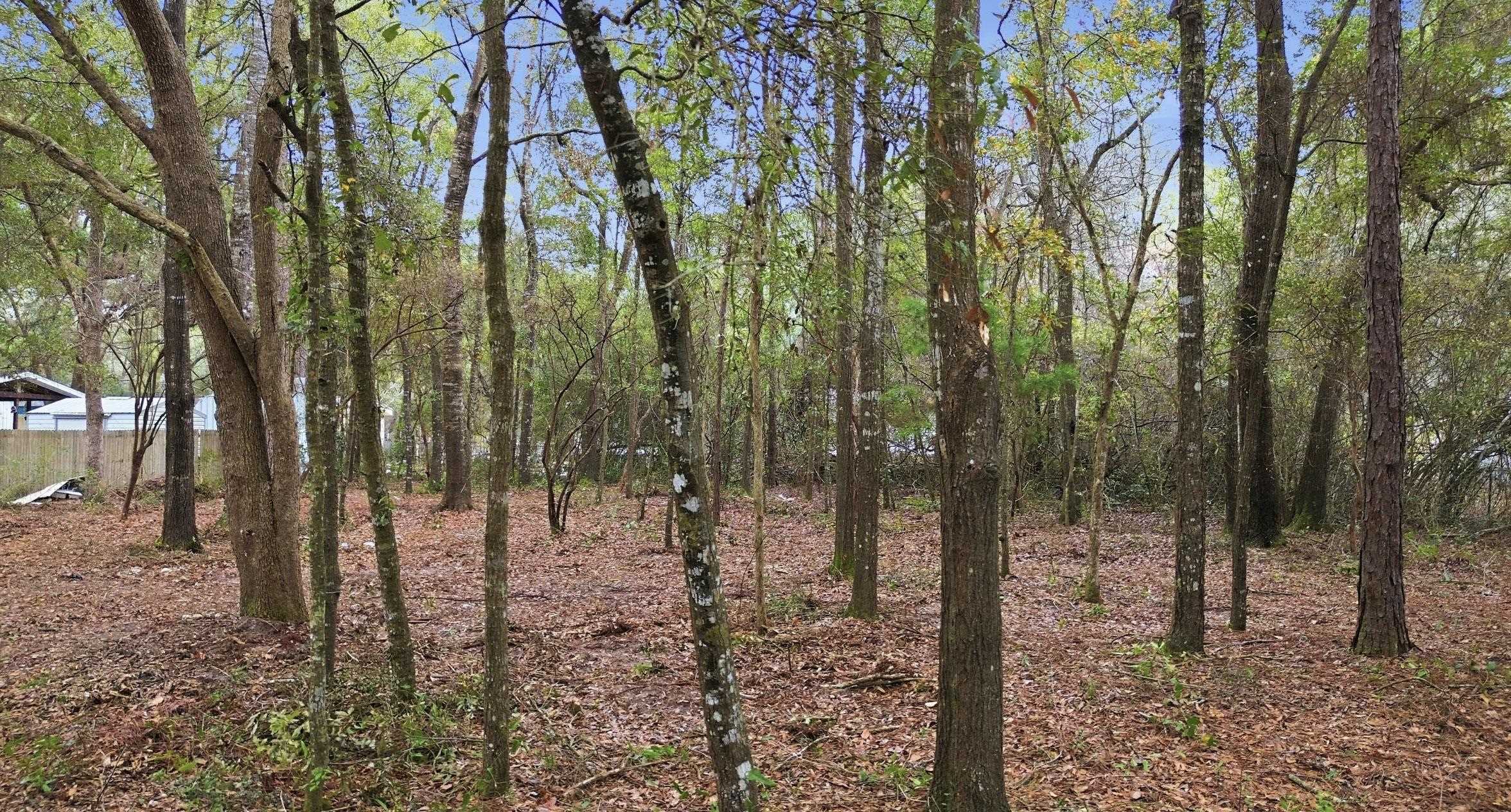 TBD Lot 28 John David Drive