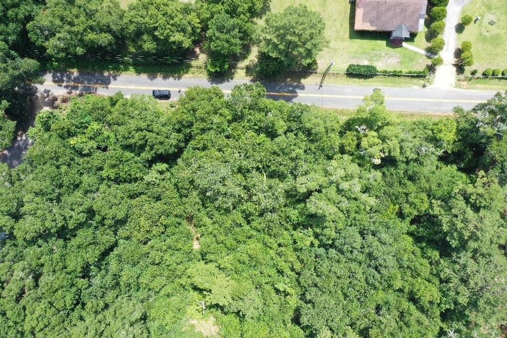 Photo of XX S Lanier Road, Havana, FL 32333 (MLS # 395482)