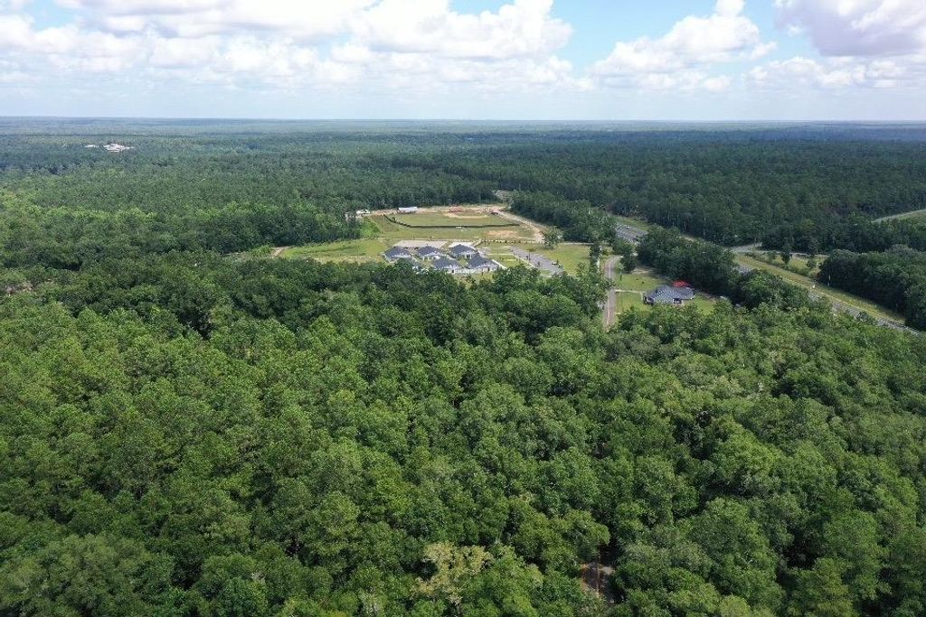 Photo of XX S Lanier Road, Havana, FL 32333 (MLS # 395482)