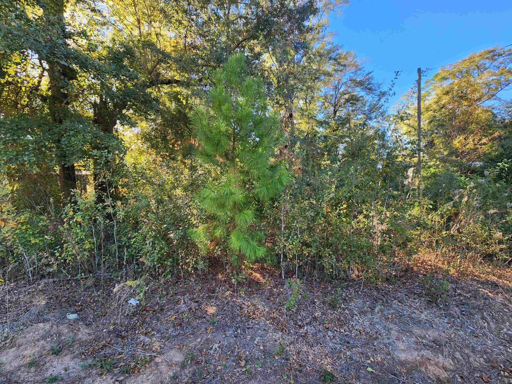 Photo of xxx Deer Street, Bristol, FL 32321 (MLS # 393310)