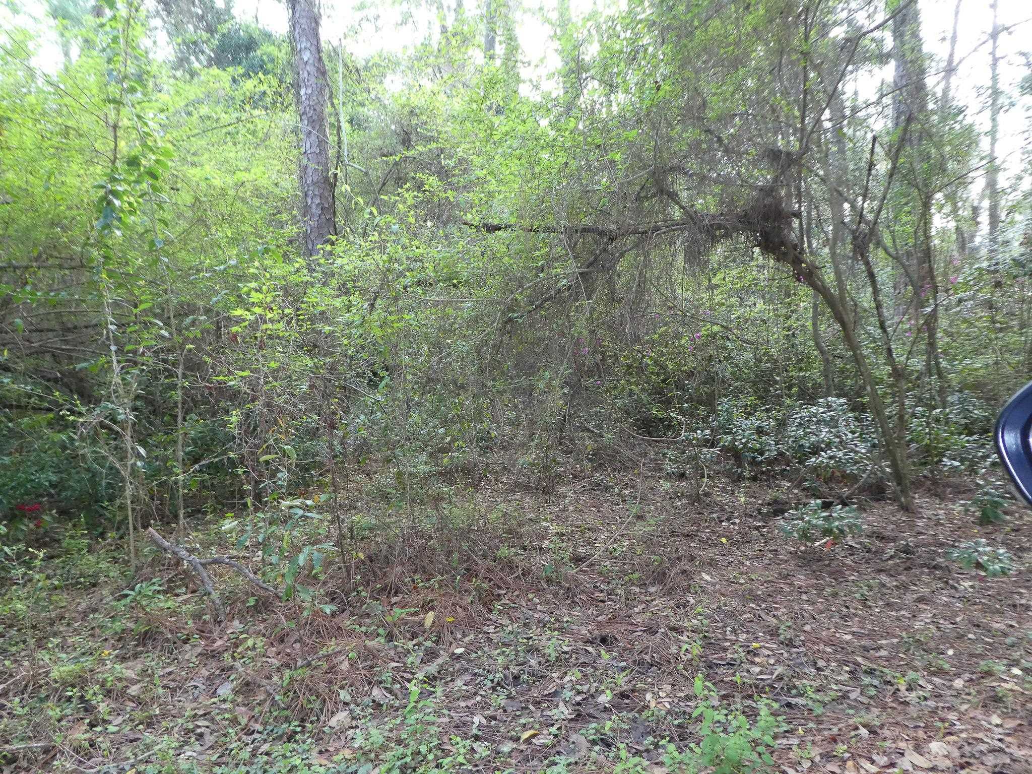 X THOMASVILLE Road