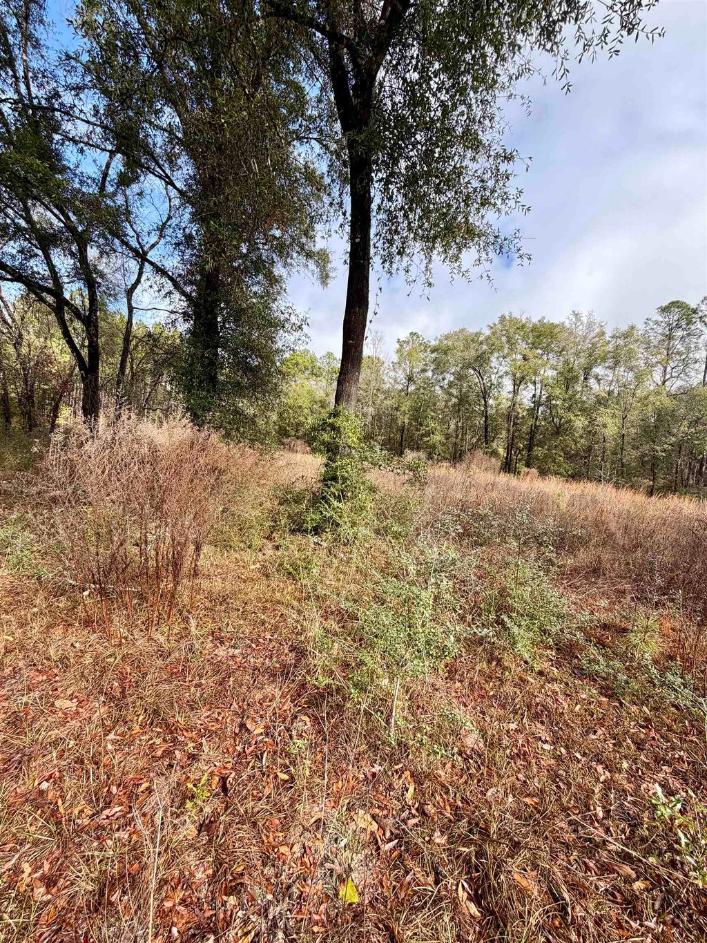 Photo of XX East Ivan Road, Crawfordville, FL 32327 (MLS # 395123)