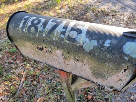 Tiny photo for 00 Landry Road, Perry, FL 32348 (MLS # 397937)