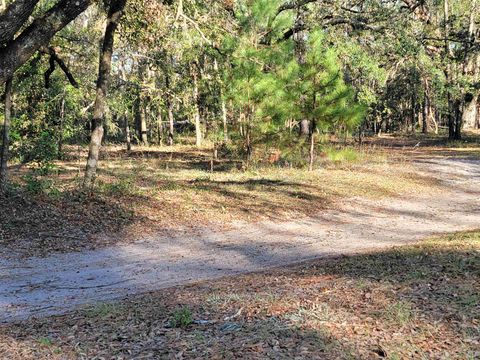 Tiny photo for 00 Landry Road, Perry, FL 32348 (MLS # 397937)