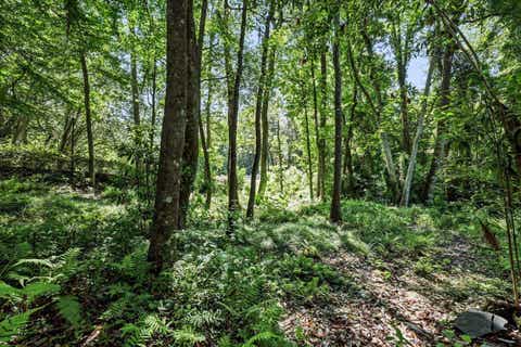Tiny photo for 1262 Millstream Road, Tallahassee, FL 32312 (MLS # 401331)