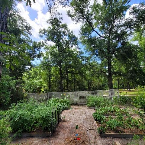 81 Beechwood Drive Crawfordville FL 32327