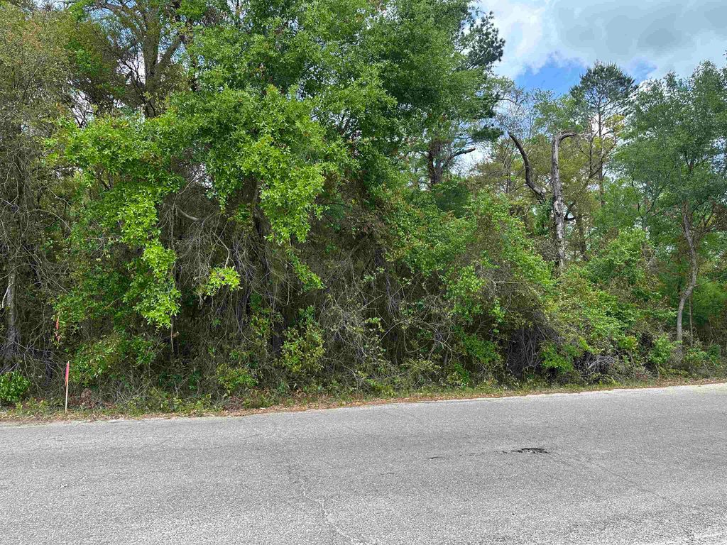 Photo of BELAIR Road, Tallahassee, FL 32305 (MLS # 398801)