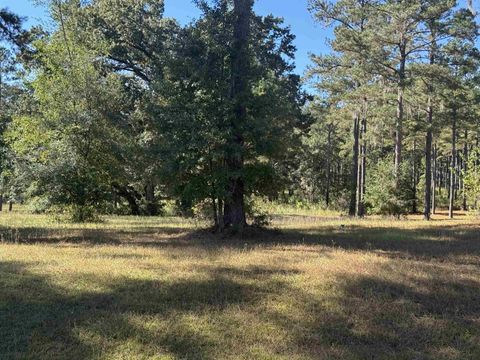 Photo of Lot 8A Lake Pisgah Drive, Tallahassee, FL 32309 (MLS # 393484)