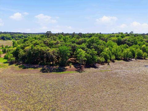 Tiny photo for 10945 Luna Point Road, Tallahassee, FL 32312 (MLS # 399465)