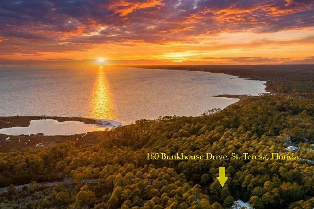 Photo of 160 Bunk House Drive, St Teresa, FL 32358 (MLS # 395130)