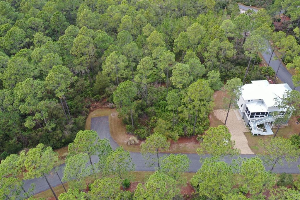 Photo of 160 Bunk House Drive, St Teresa, FL 32358 (MLS # 395130)