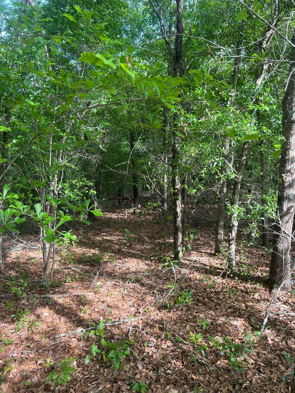 Photo of 0 S Oak Road, Chattahoochee, FL 32324 (MLS # 389953)