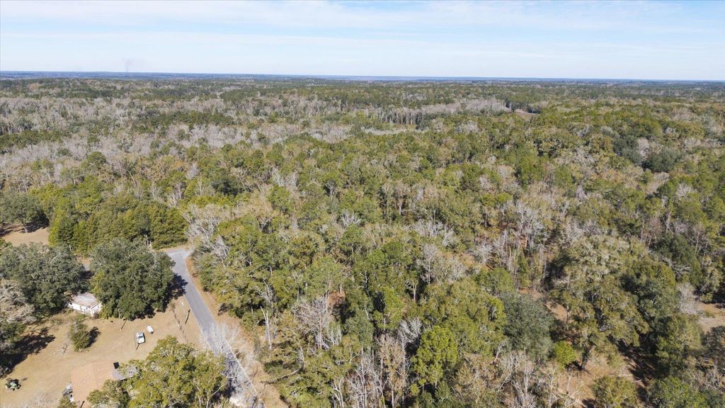 Photo of 1264 Quail Lane, Monticello, FL 32344 (MLS # 395635)