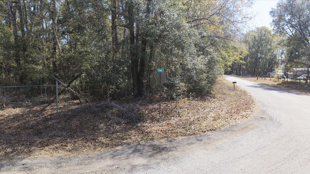 Photo of 1264 Quail Lane, Monticello, FL 32344 (MLS # 395635)