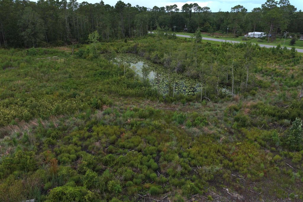 Photo of Vacant E Washington Highway, Monticello, FL 32344 (MLS # 388948)