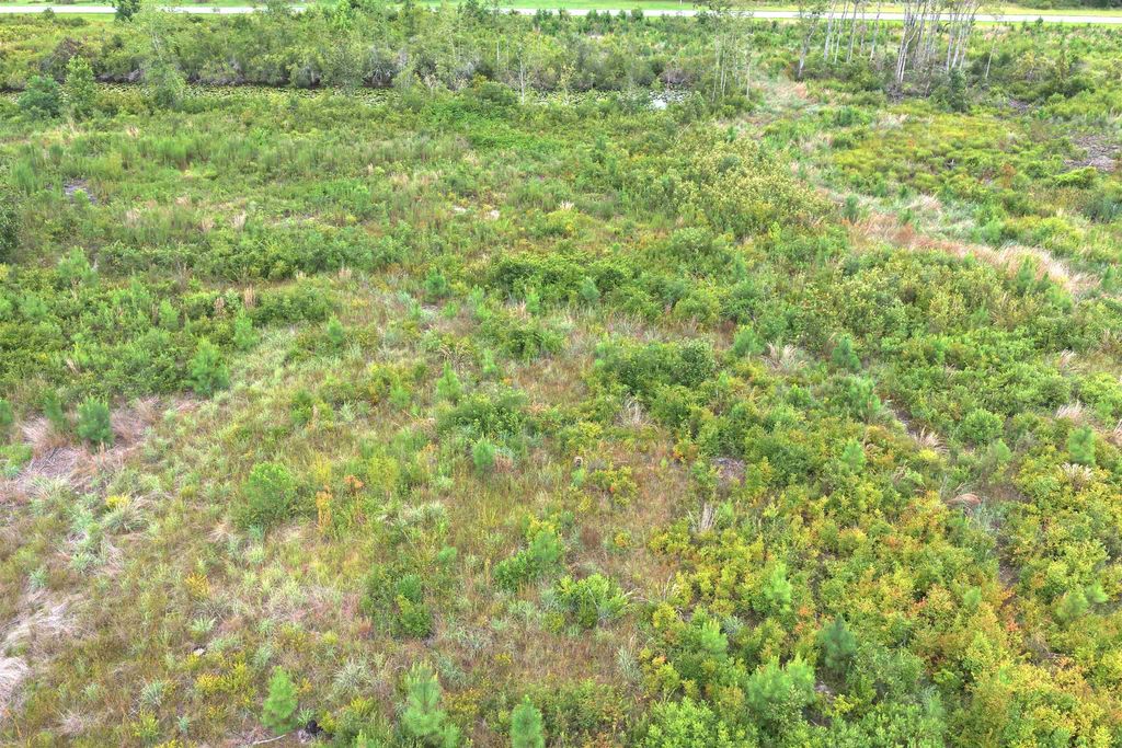 Photo of Vacant E Washington Highway, Monticello, FL 32344 (MLS # 388948)