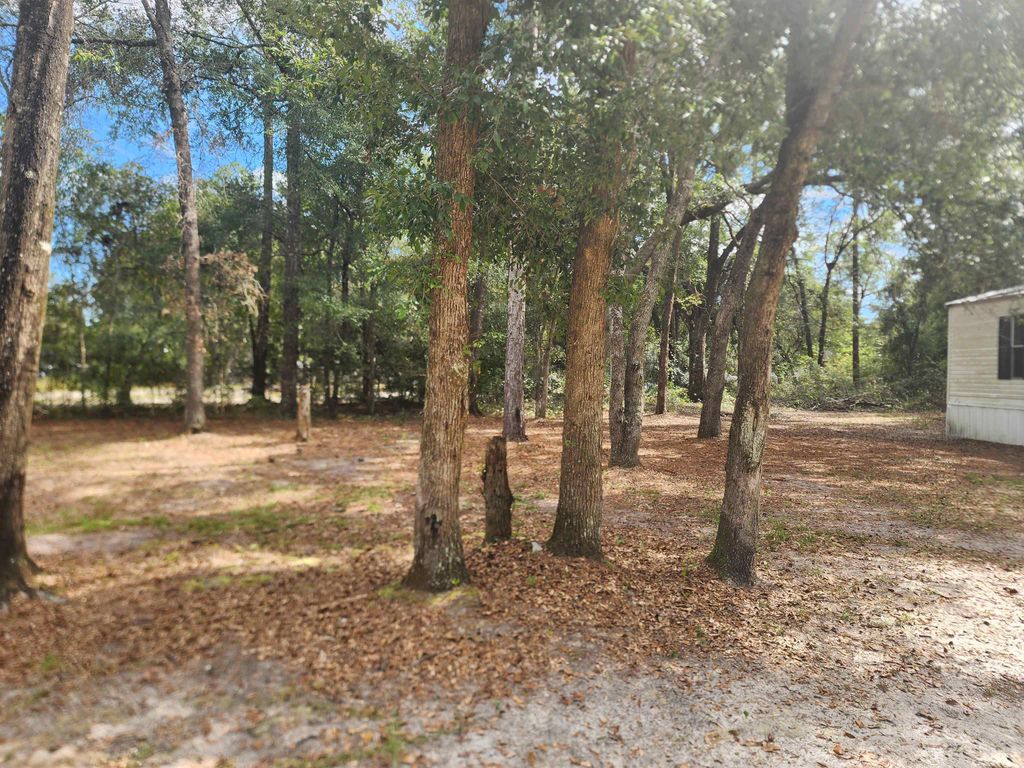Photo of 8697 Wide Roads, Woodville, FL 32305 (MLS # 397194)