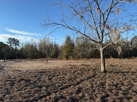 Vacant SW Wyoming Avenue Lamont FL 32336