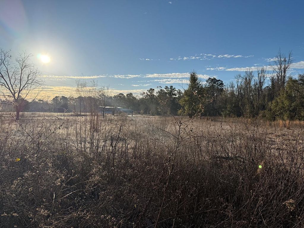 Photo of Vacant SW Wyoming Avenue, Lamont, FL 32336 (MLS # 395460)