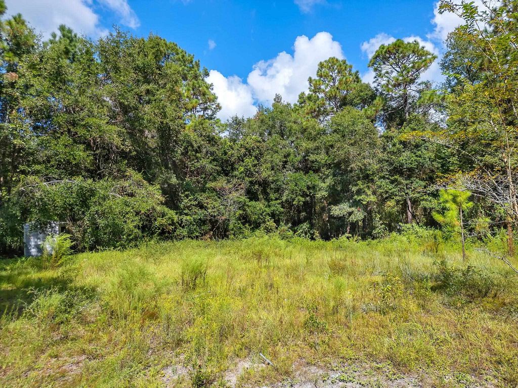Photo of 10 Blue Waters Ct, Tallahassee, FL 32305 (MLS # 393976)