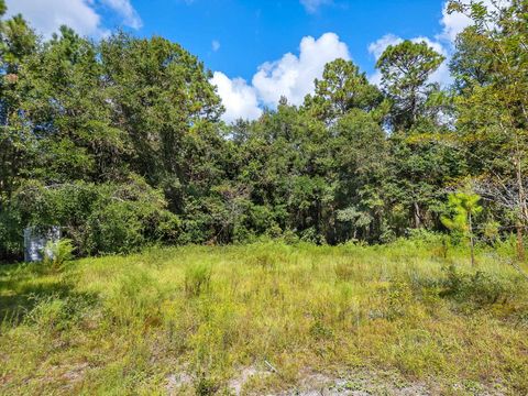 Photo of 10 Blue Waters Ct, Tallahassee, FL 32305 (MLS # 393976)