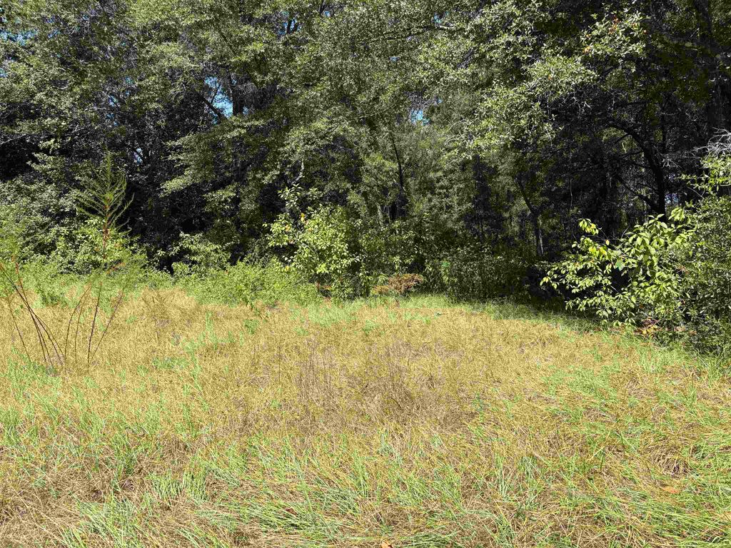 Photo of 10 Blue Waters Ct, Tallahassee, FL 32305 (MLS # 393976)