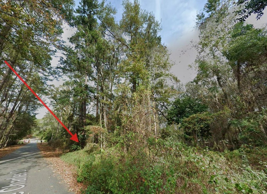Photo of 3685 Lake Charles Drive, Tallahassee, FL 32309 (MLS # 402539)