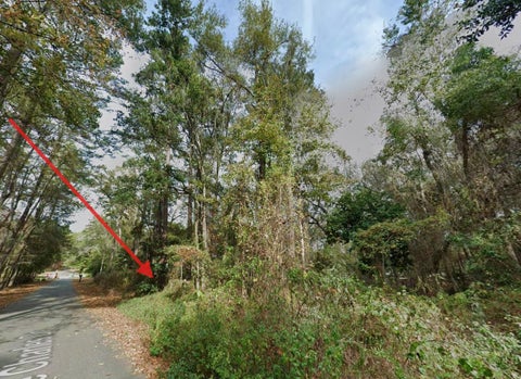 Tiny photo for 3685 Lake Charles Drive, Tallahassee, FL 32309 (MLS # 402539)