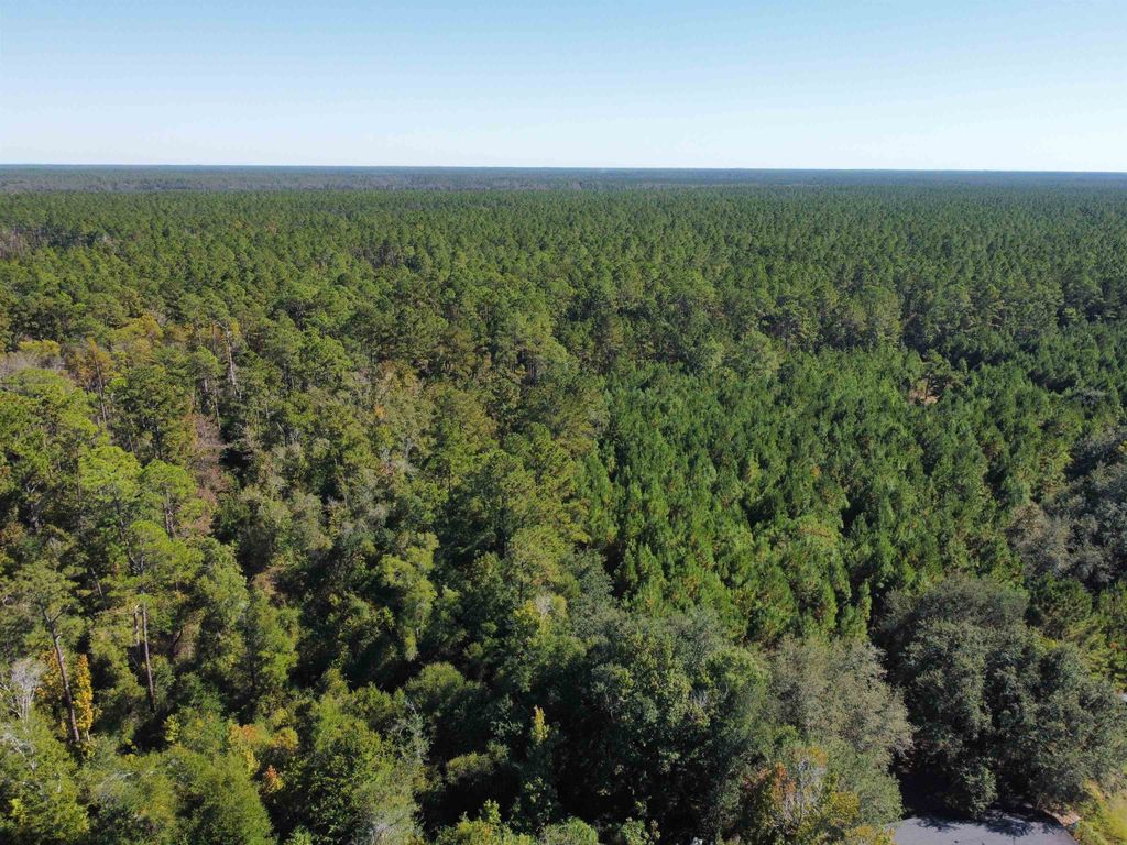 Photo of 24818 NW 333 Road, Bristol, FL 32321 (MLS # 392605)