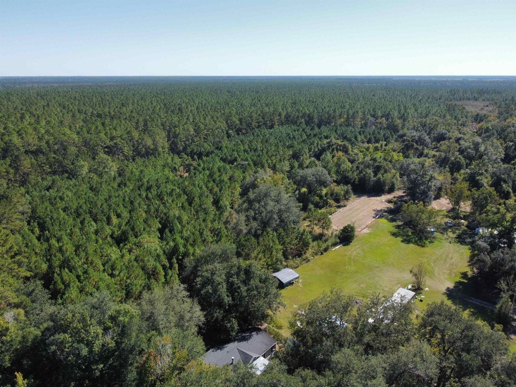Photo of 24818 NW 333 Road, Bristol, FL 32321 (MLS # 392605)