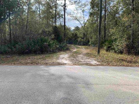 Lot 4 & 5 Seminole Lane Sopchoppy FL 32358