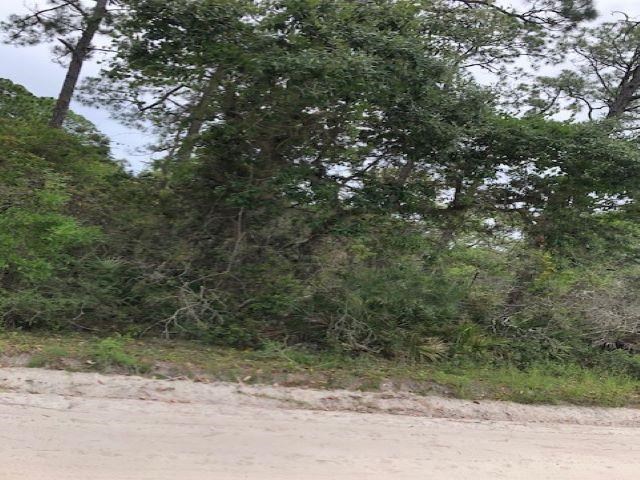 Lot 9 Surf Road