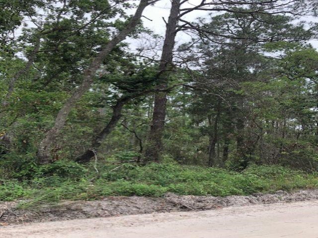 Lot 9 Surf Road