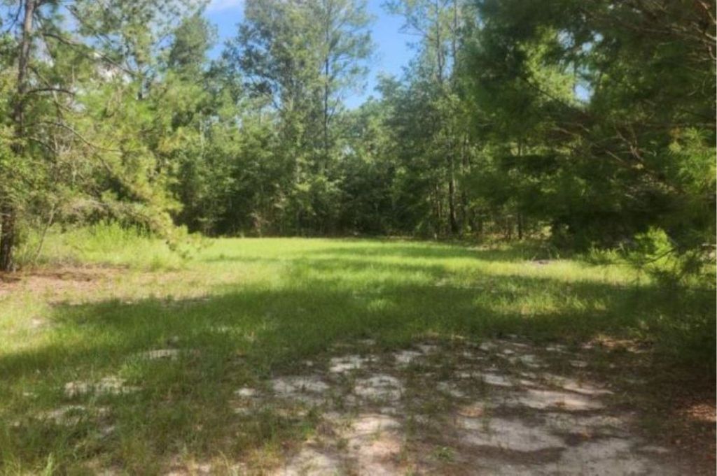 Photo of 2407 Mary Esther Lane, Perry, FL 32348 (MLS # 389193)
