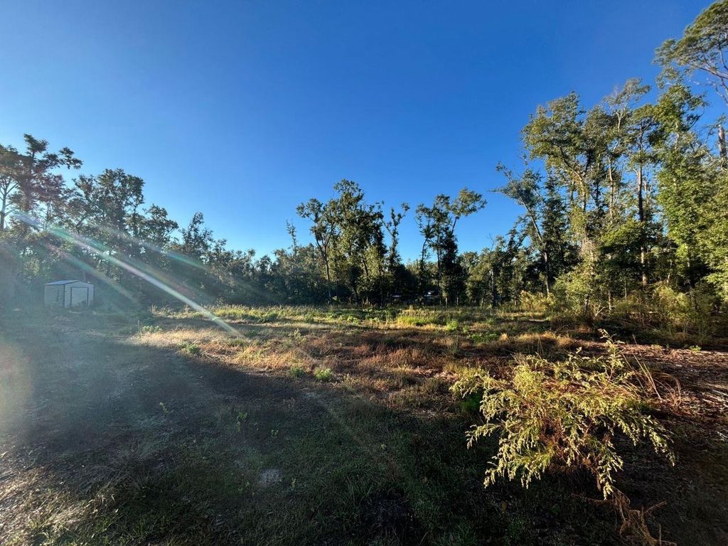 Photo of 515 NE Willow Bend Terrace, Lee, FL 32059 (MLS # 382456)